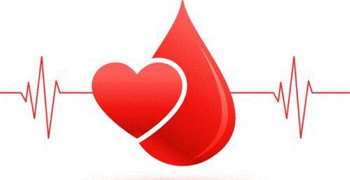 sl_050622_50190_20-e1686647352686