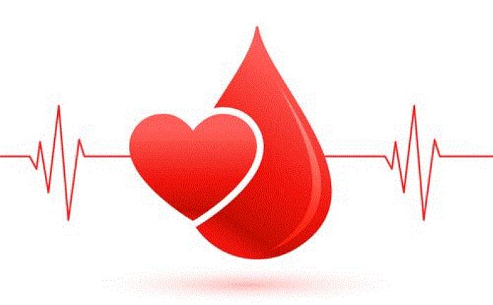 Ετήσια Αιμοδοσία εις μνήμην των αποβιωσάντων δημοτών της Αραδίππου (2024–2025)