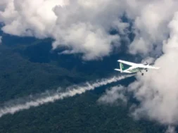 texnitivroxi_sporanefwn-thumb