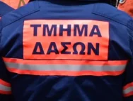 tmima_daswn_antras_stoli_epistrofi_kathikonta_e1753203508603_768x433-thumb