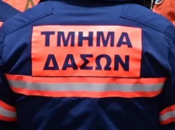 tmima_daswn_antras_stoli_epistrofi_kathikonta_e1753203508603_768x433-thumb