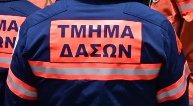 tmima_daswn_antras_stoli_epistrofi_kathikonta_e1753203508603_768x433-thumb