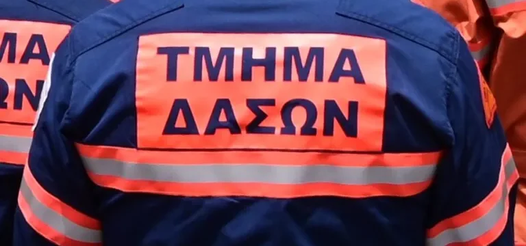 tmima_daswn_antras_stoli_epistrofi_kathikonta_e1753203508603_768x433-thumb