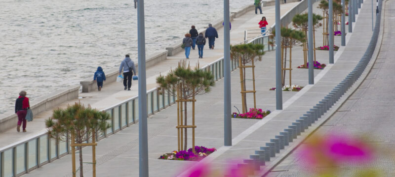 Πιαλέ Πασά-Λάρνακα