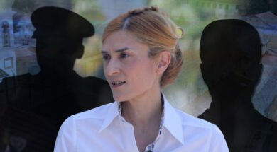 αννα αριστοτελους (1)