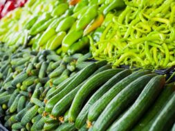 1000_F_241287984_tHhuUpu3ZJ6eSsGww6GxZD7qntoPtdyd-transformed__1_