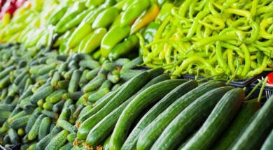 1000_F_241287984_tHhuUpu3ZJ6eSsGww6GxZD7qntoPtdyd-transformed__1_