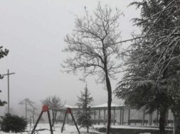 139193744_2942136656063680_1818366653915830783_o