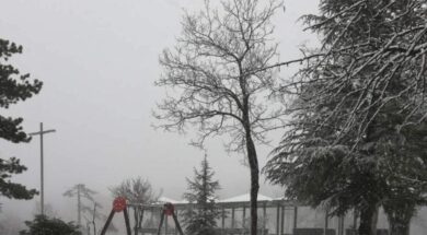 139193744_2942136656063680_1818366653915830783_o