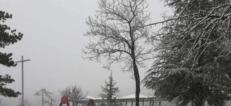 139193744_2942136656063680_1818366653915830783_o