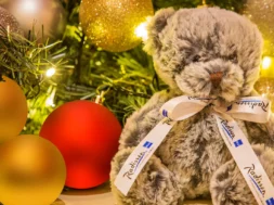 16256-113980-f62725383_3XL