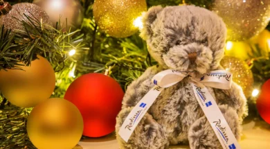 16256-113980-f62725383_3XL