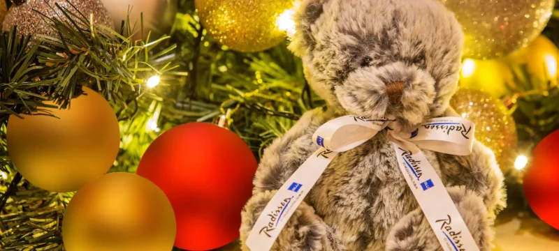 16256-113980-f62725383_3XL