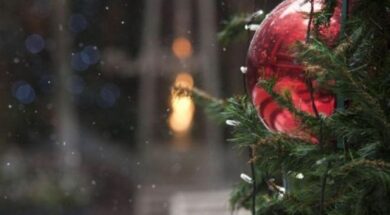 1d96574c-5f37-4083-bbda-67c9f25cd891_1f74f699-24ca-467b-9fa9-b2de64e2a5ac_kairos12