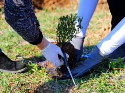 1pckgfwjewzvvn3lmlwh (1)