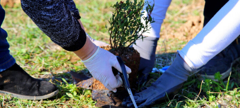 1pckgfwjewzvvn3lmlwh (1)