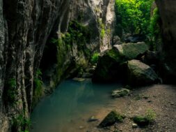 205538644_4206707896042552_4955765241055871954_n