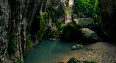 205538644_4206707896042552_4955765241055871954_n