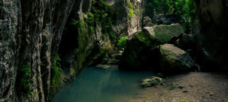 205538644_4206707896042552_4955765241055871954_n