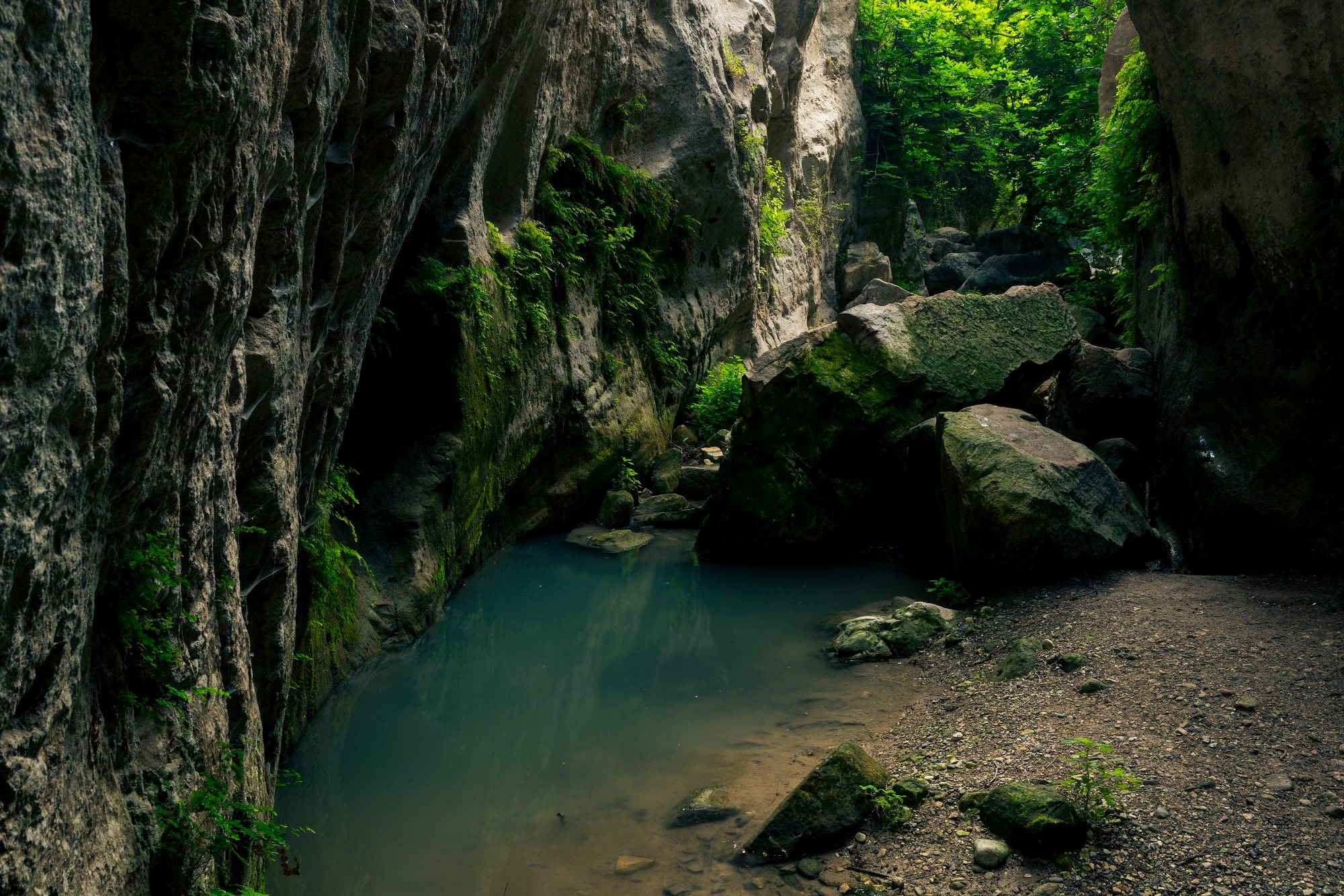 Τμήμα Δασών: Κλείνει προσωρινά το «Φαράγγι του Άβακα»