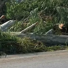 207ad5b4d89211391718835c68a4a351