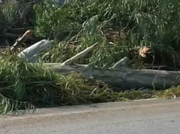 207ad5b4d89211391718835c68a4a351