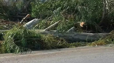 207ad5b4d89211391718835c68a4a351