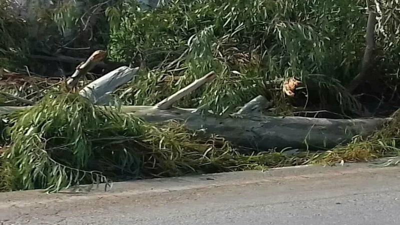 207ad5b4d89211391718835c68a4a351