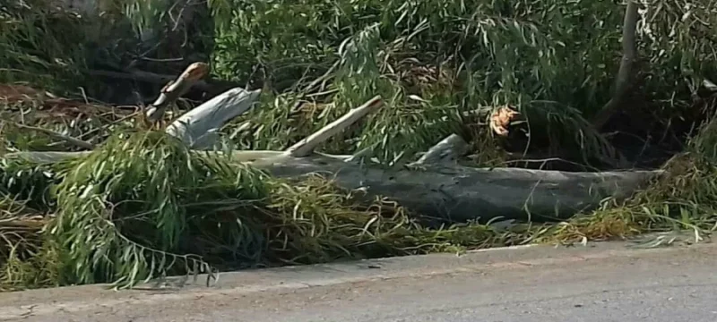 207ad5b4d89211391718835c68a4a351