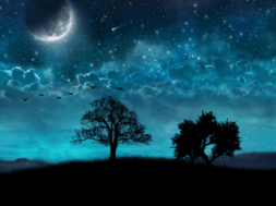 21-Dekemvriou-megaliteri-nixta-Naturanrg