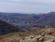 254248213_4680647655348875_2216963968726001762_n