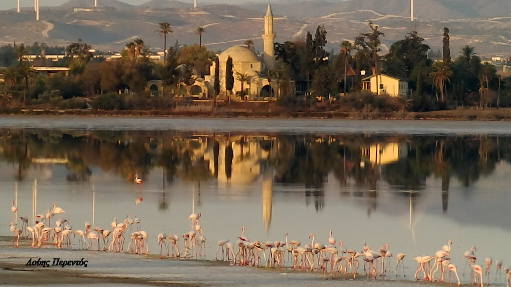 Η πρωινή ενημέρωση της ημέρας από τη Σκαλιώτισσα