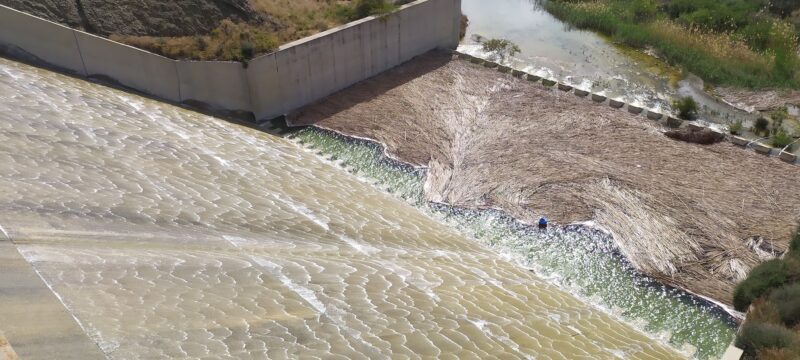 269790659_4833832706697035_2613978780999188287_n