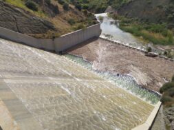 269790659_4833832706697035_2613978780999188287_n