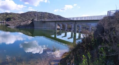 274623076_377345407559731_1992645072874692844_n