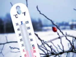 2ADE9034-1728-4F78-89AE-2408347CB503