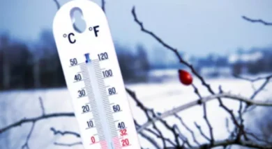 2ADE9034-1728-4F78-89AE-2408347CB503