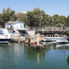 302330050_2387611214730908_3230821414185776170_n (1)