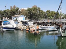 302330050_2387611214730908_3230821414185776170_n (1)