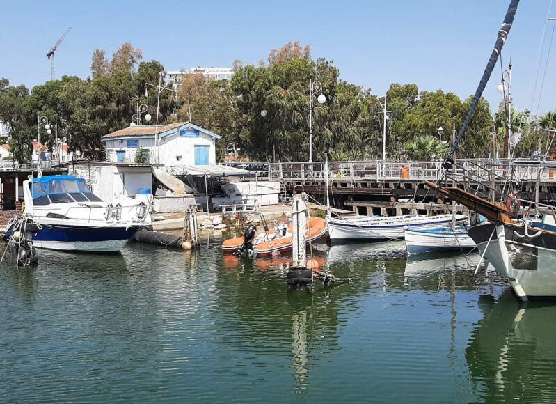 302330050_2387611214730908_3230821414185776170_n (1)