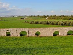 316866076_5467544646678106_1502442729939268955_n