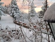 476156812_3953550211630734_8509757137145524064_n