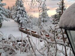 476156812_3953550211630734_8509757137145524064_n