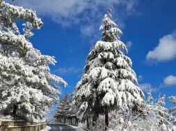 476352385_3953543411631414_2836518349400335730_n