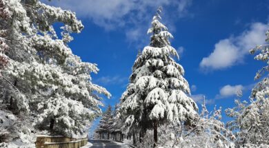 476352385_3953543411631414_2836518349400335730_n