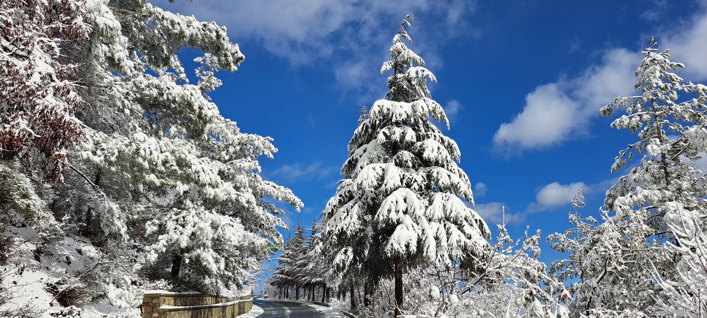 «Λευκό» σαββατοκύριακο: Πρόβλεψη για τα πρώτα χιόνια στην Κύπρο