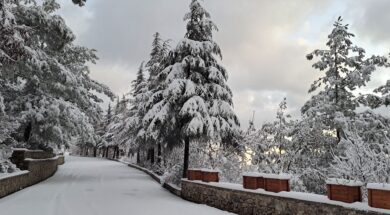 476396919_3953545594964529_6741472500671717458_n