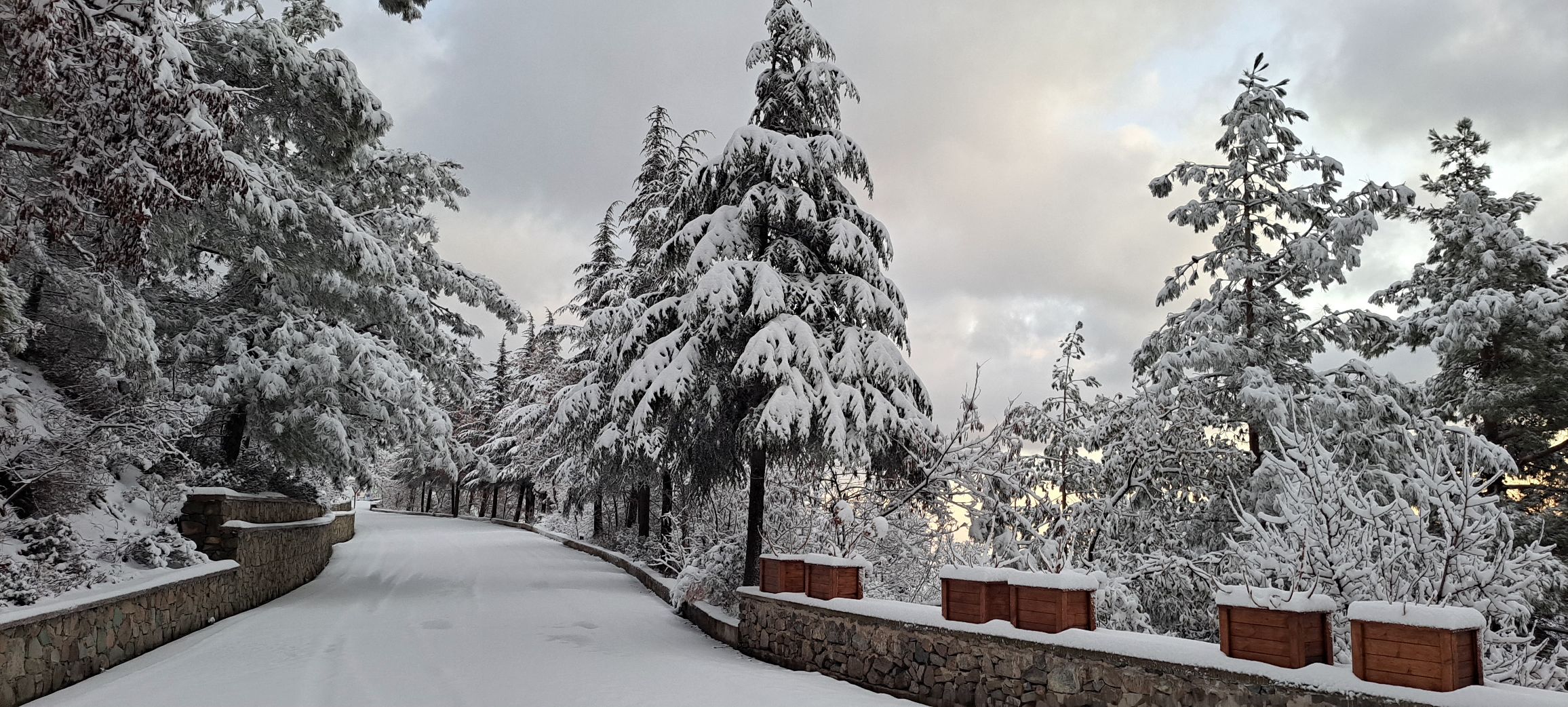 Πρόβλεψη για «λευκά» Χριστούγεννα – Πώς θα είναι ο καιρός αύριο στην Κύπρο