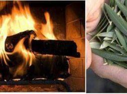 514500790_24575420158730510_3002881451608611247_n