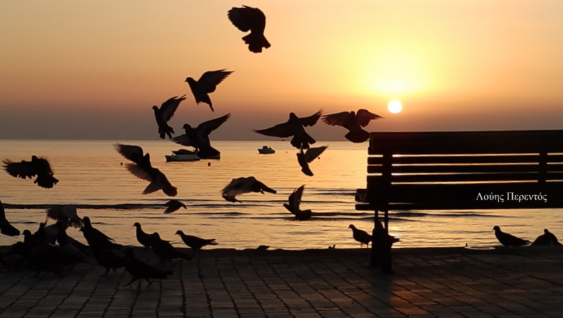 Η θάλασσα είναι η μόνη αγάπη. Γιατί έχει την όψη του ιδανικού